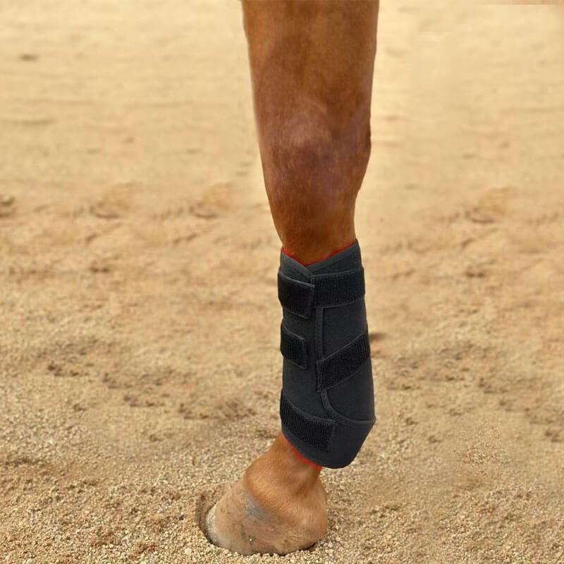 35×35cm Horse Leg Red Light Therapy Device with 192 LEDs Manufacturer - Image 7
