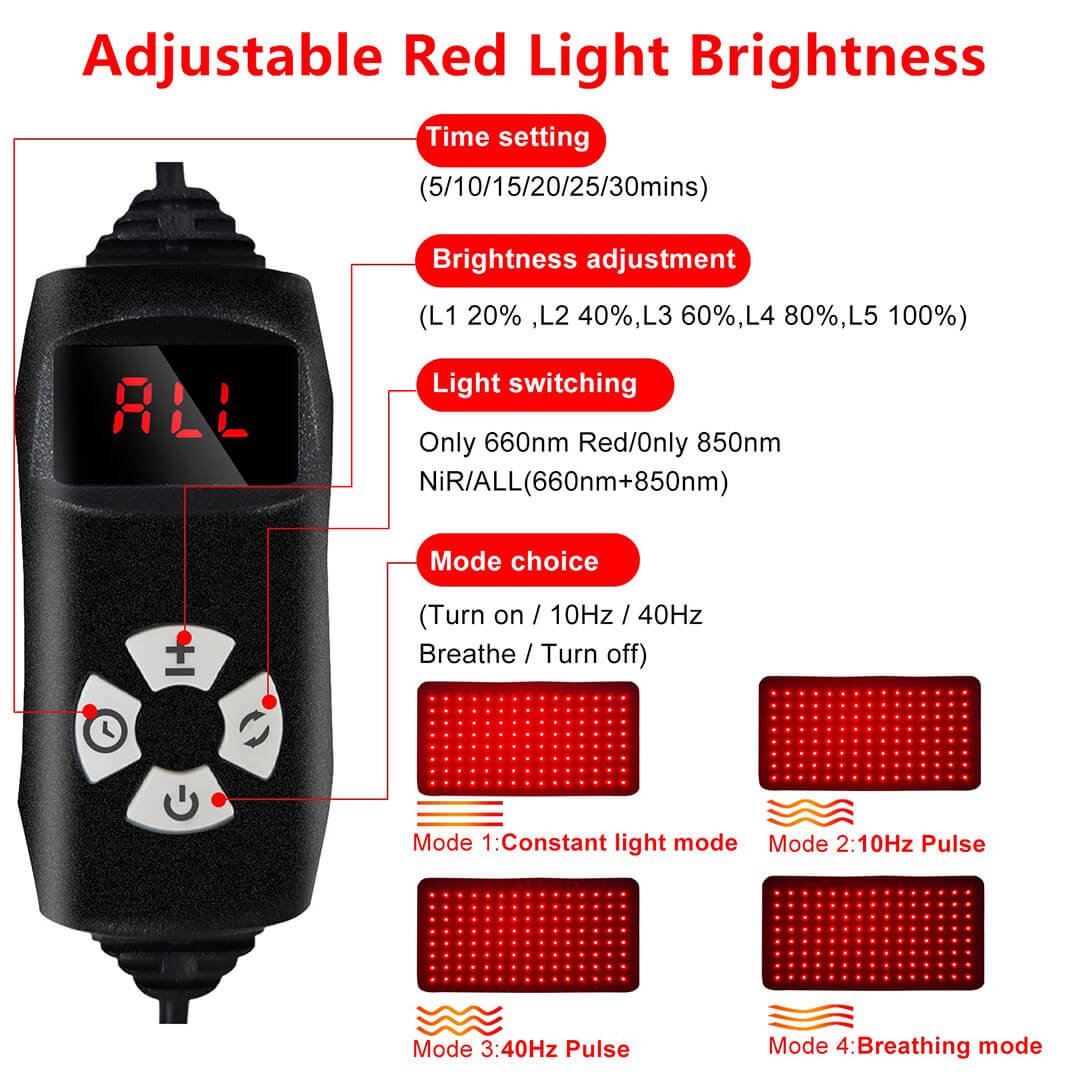 Red Light Therapy Waist Belt - Image 3