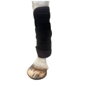 35×35cm Horse Leg Red Light Therapy Device with 192 LEDs Manufacturer