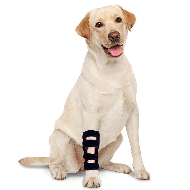 Dog/Cat Leg Red Light Therapy Wrap - Image 9