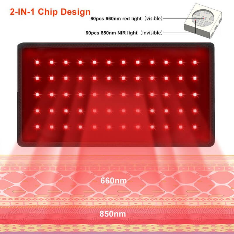 Multi-Purpose Red Light Therapy Belt with Battery - Image 4